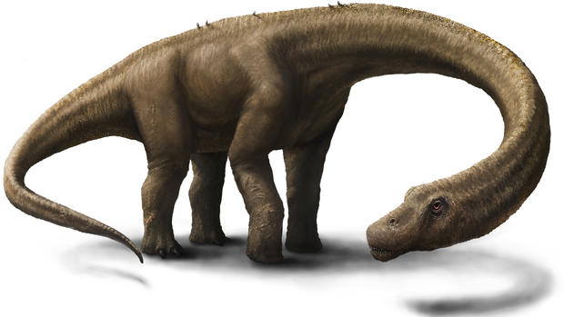Photos: Huge dinosaur skeleton unearthed 