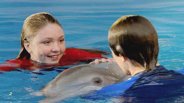 dolphin-tale-2.jpg 