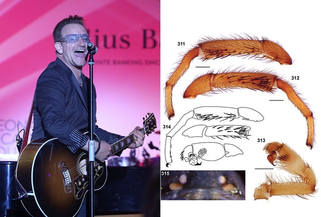 bono.jpg 