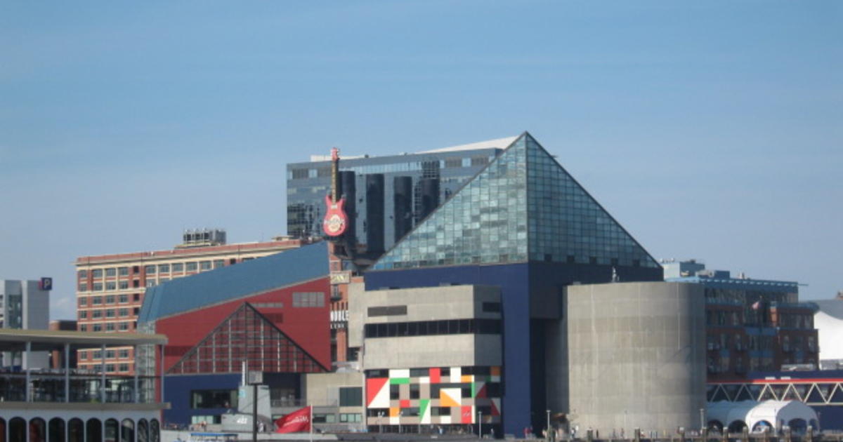 DISCOVER THE NATIONAL AQUARIUM LOCATED IN THE HEART OF BALTIMORE - The  Nellis Group Blog