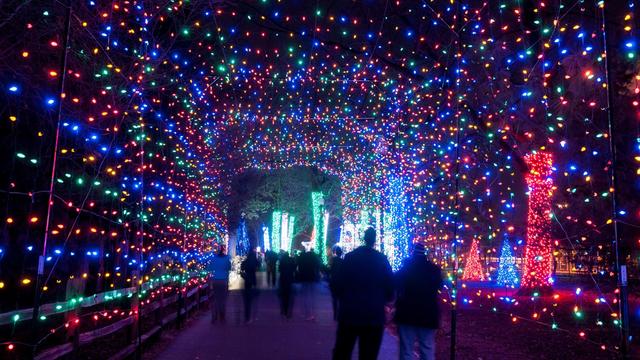 detroit-zoo-wild-lights.jpg 