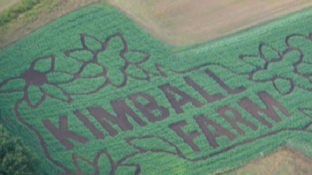 kimball farm haverhill corn maze 