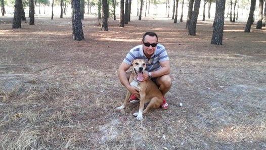 Spain to kill dog of Madrid woman with Ebola CBS News