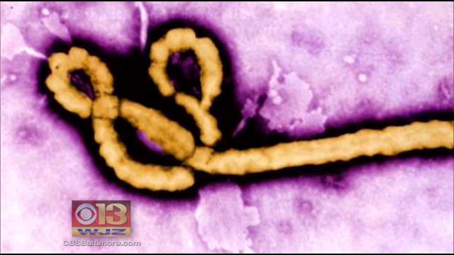 ebola3.jpg 