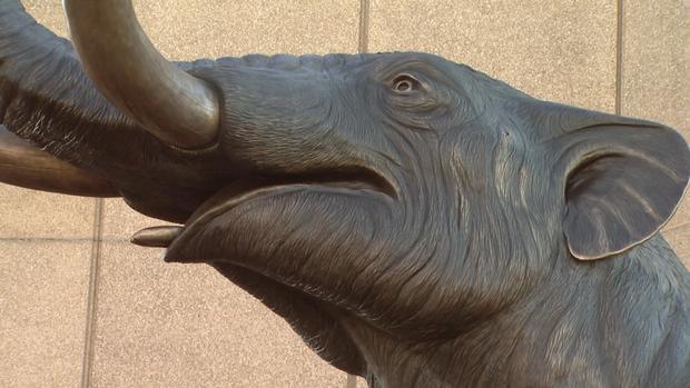 Denver Museum of Nature and Science  snow mastodon snowmastodon 