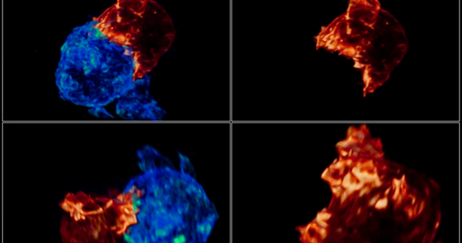 New microscope produces stunning, technicolor movies of cells in action ...