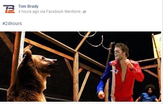 brady bear facebook 