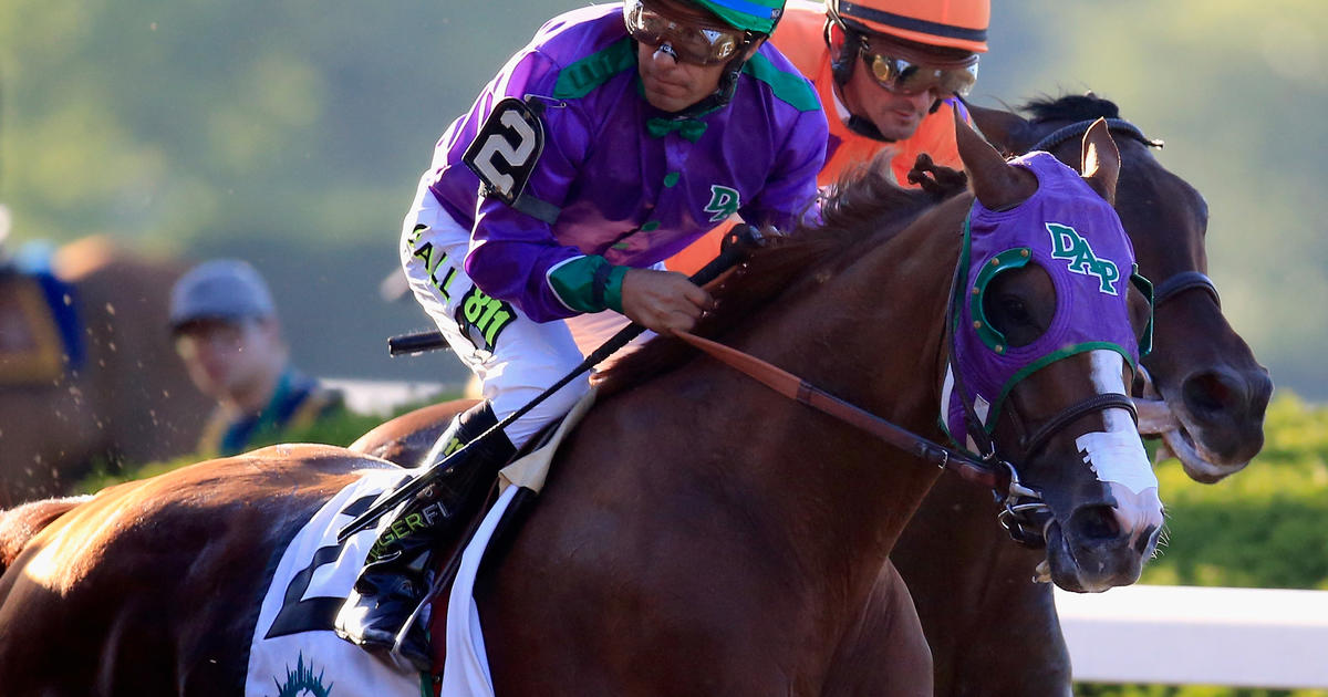 Breeders' Cup Classic California Chrome Runs For Redemption CBS