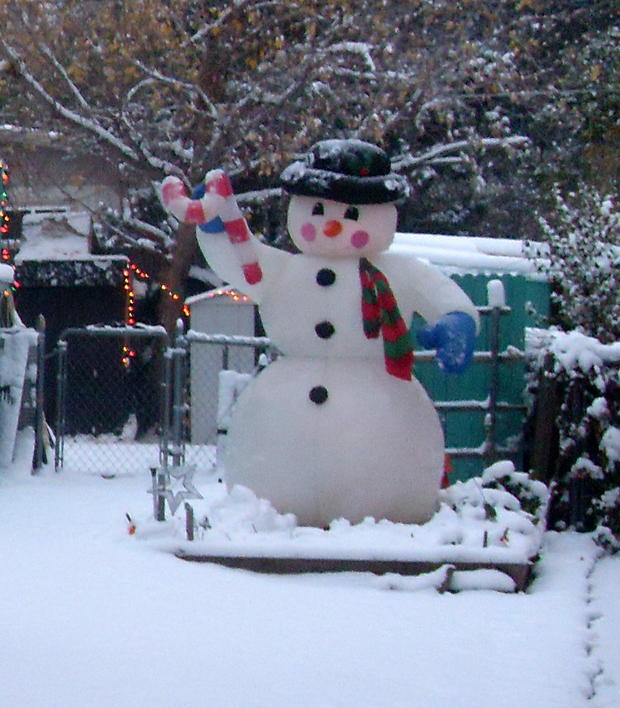 snowman-in-the-garden.jpg 