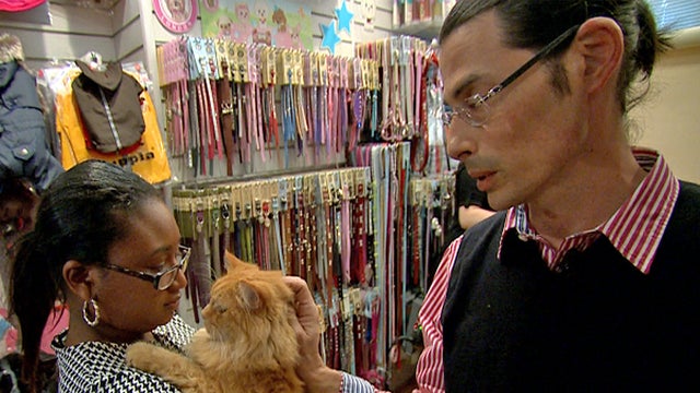 PetLondon ​Models founder Adam Grant tries to soothe the nerves of Dusta 