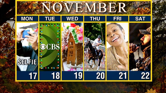 calendar-november-17.jpg 