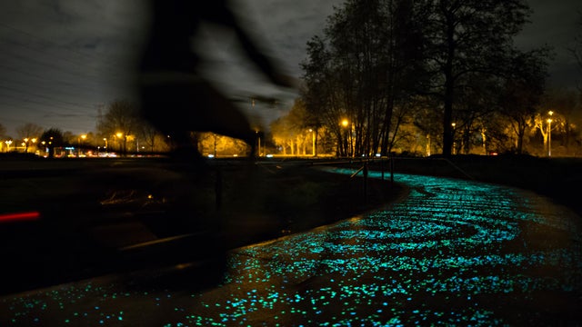 vangoghroosegaarde1.jpg 