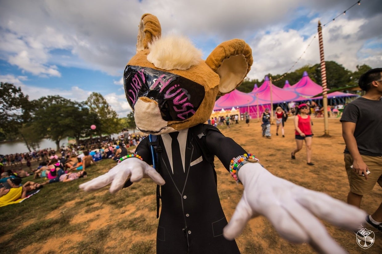 24 reasons to go to an EDM festival before you die