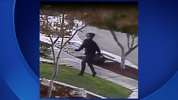 Fremont Package Theft 