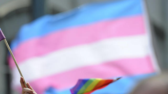 transgender_pride_flag_451376028.jpg 