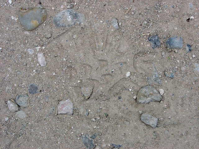 doanfootprint.jpg