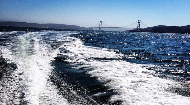 San Francisco Bay (Credit, Laurie Jo Miller Farr) 