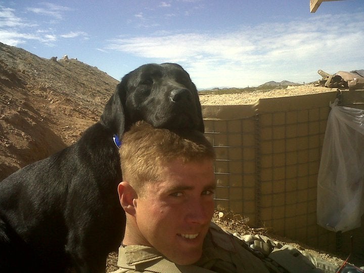 Dog and U.S. Marine bond during war