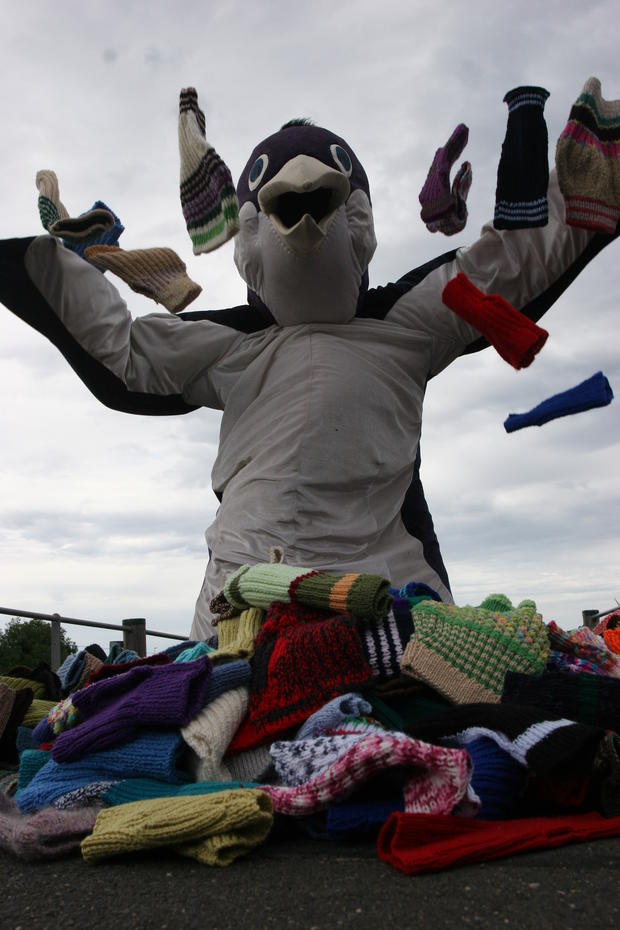 penguin-parade-mascot-with-jumpers.jpg 