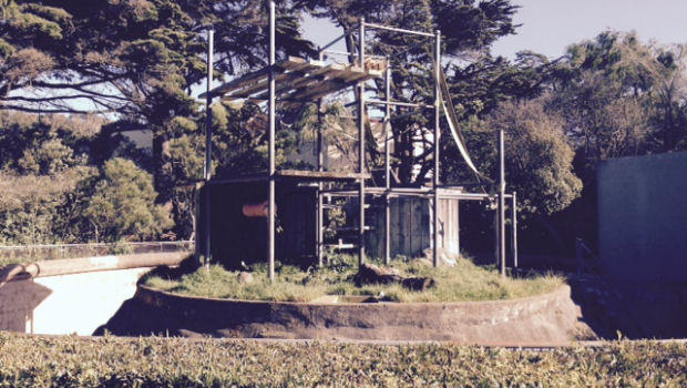 SF Zoo chimp enclosure 