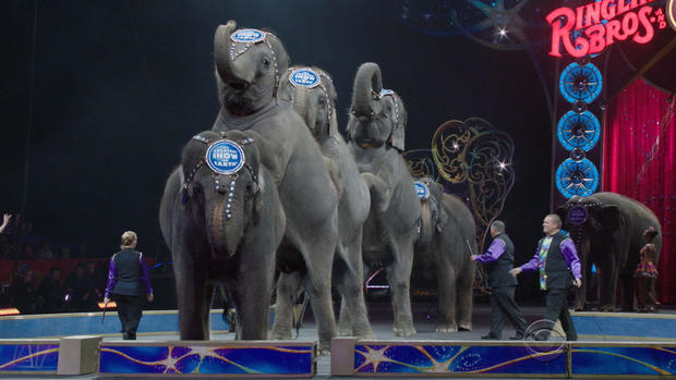 End of an era for Ringling Brothers circus elephants 