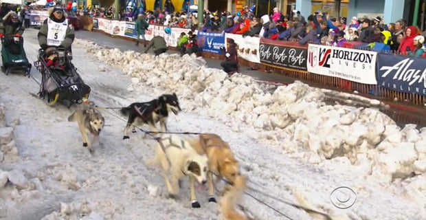 iditarod-2.jpg