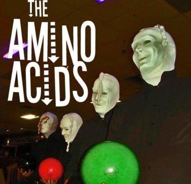 The Amino Acids 