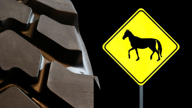 car-accident-horse-traffic-sign.jpg 