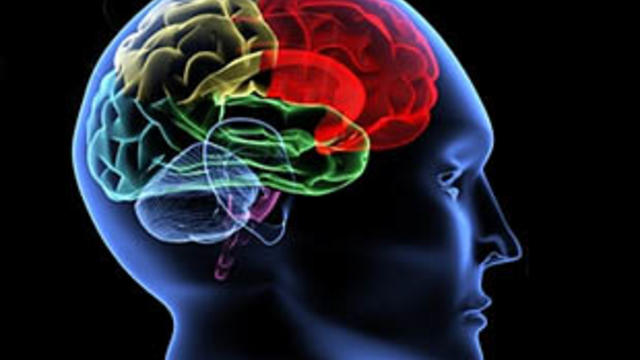 brain-inflammation-linked-to-schizophrenia-study.jpg 