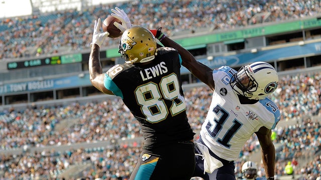 Jacksonville jaguars 