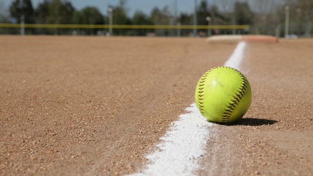 Baseball foul ball 