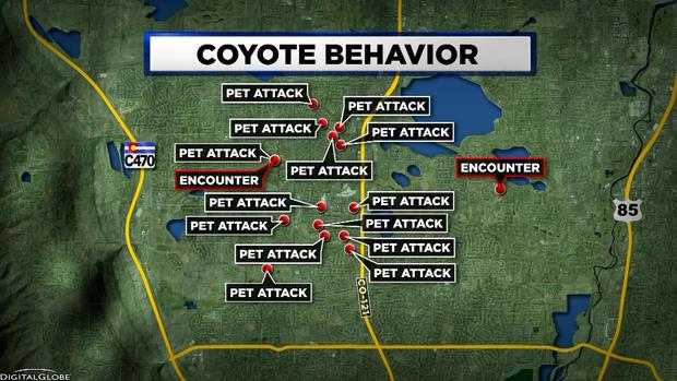 COYOTE TRACKING map 