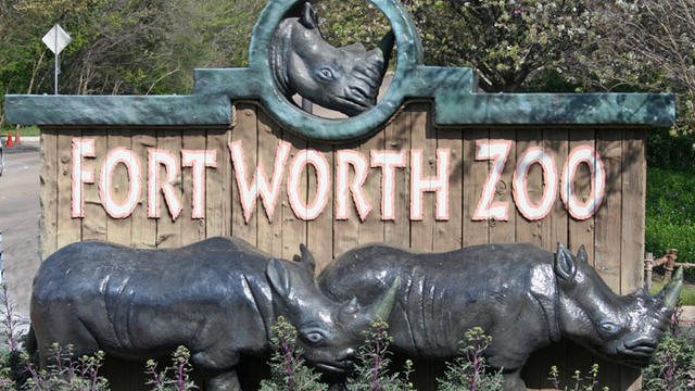 fort-worth-zoo.jpg 
