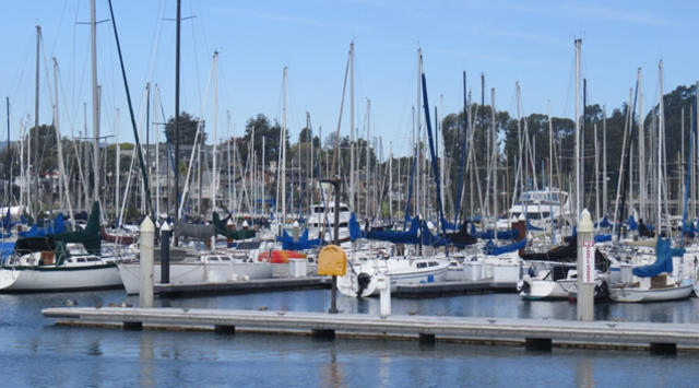 Best Places To Go Fishing In and Around The Bay Area - CBS San Francisco