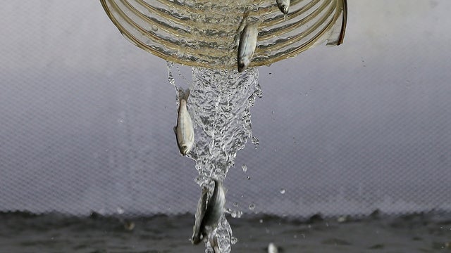 californias-droughtreutersgetty480522079.jpg 