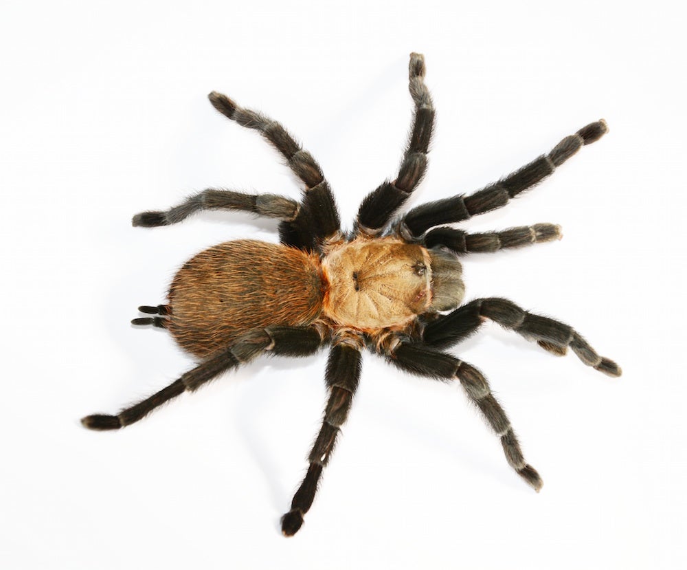 Weirdest science news of the week