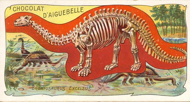 daiguebellebrontosaurus.jpg 