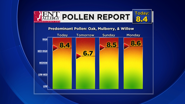 Pollen Report: 04.11.15 