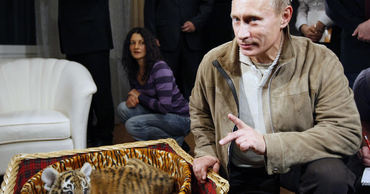 President, animal lover, professional wild man: Russia's Vladimir Putin  never fails to put-on a show