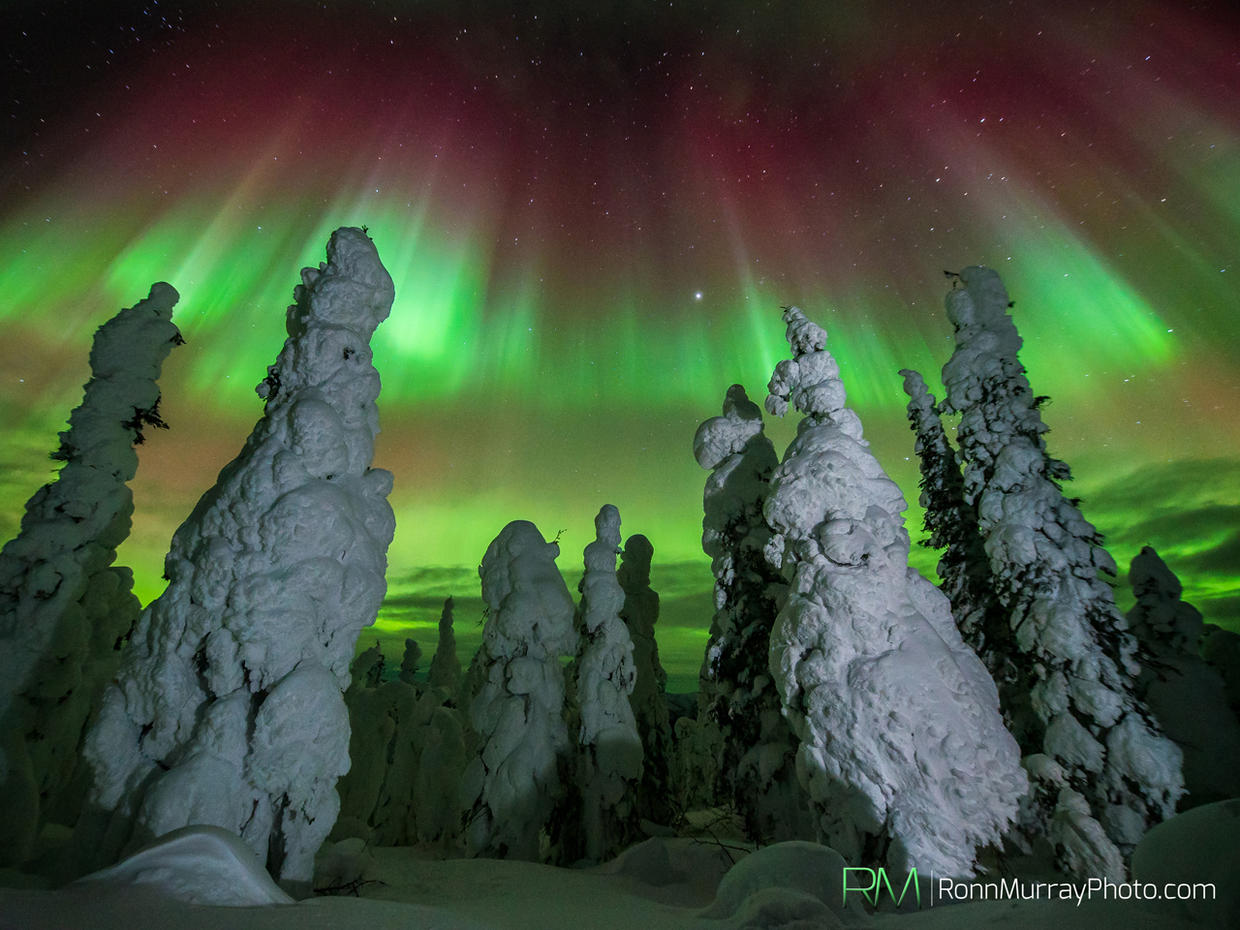 Alaska's Northern Lights