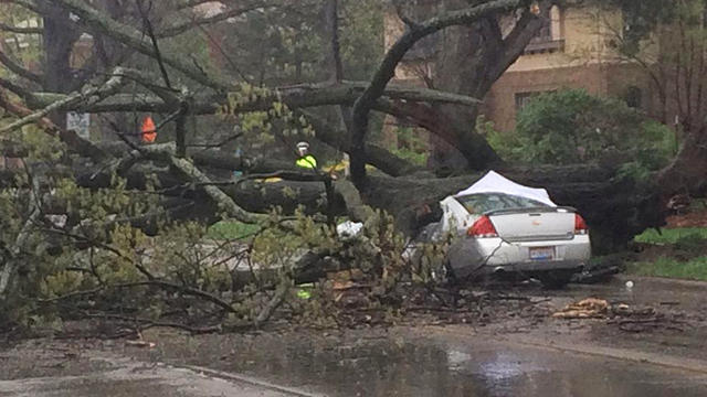 car-crushed-by-tree-brad-underwood-wkrc-promo.jpg 