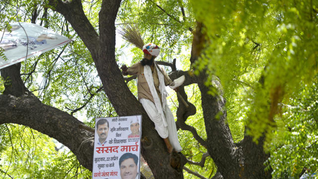 Indian farmer Gajendra Singh stands on a tree before committing suicide during an Aam Aadmi Party rally in New Delhi April 22, 2015. 