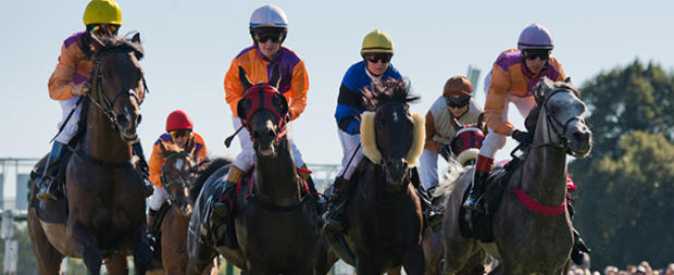 horse racing race 610 header preakness 