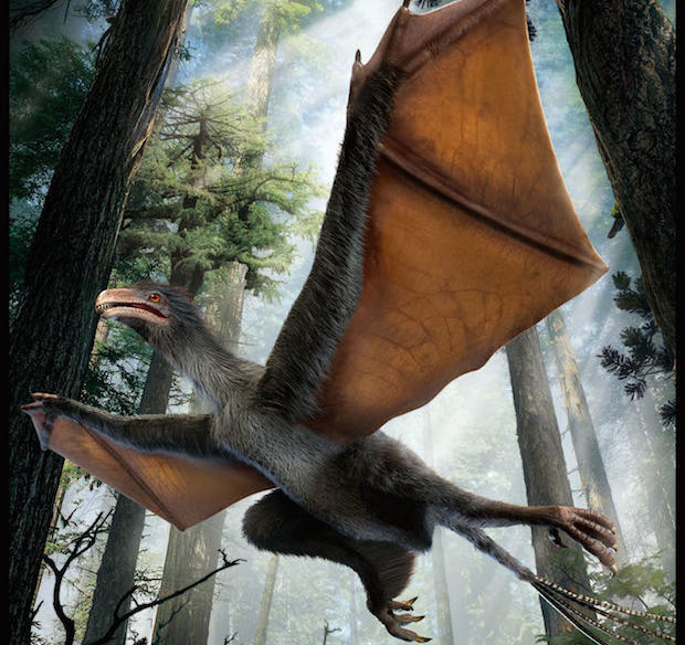Dinosaur fossil with bat wings is first of its kind - CBS News