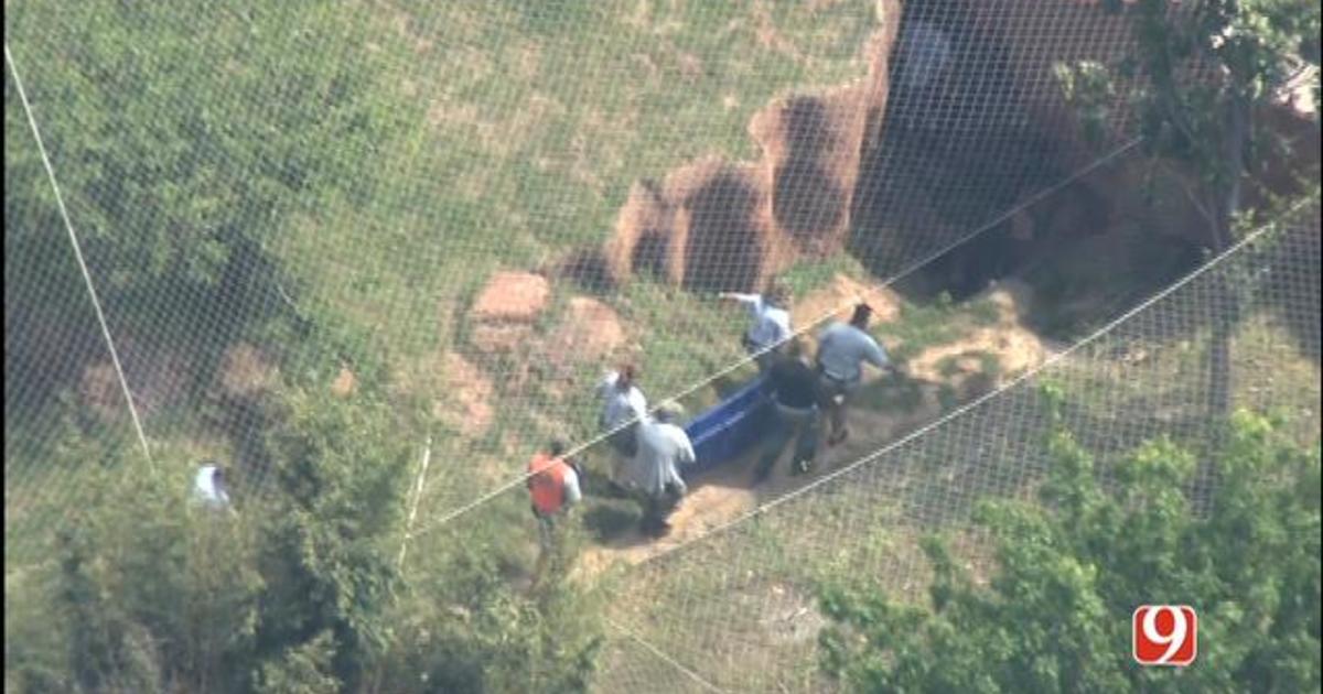 Tiger escapes enclosure at Oklahoma City Zoo CBS News