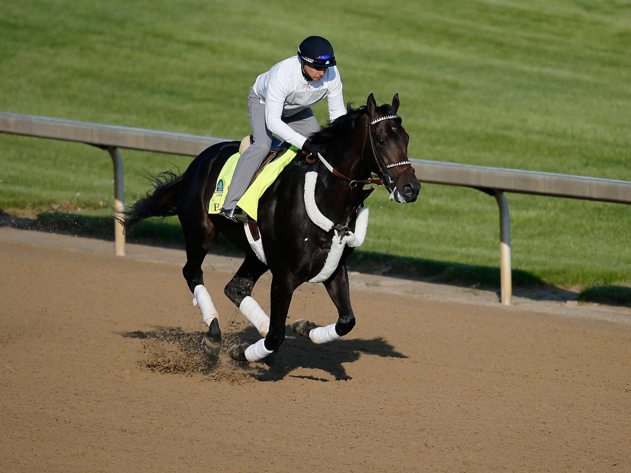 2015 Kentucky Derby The 141st "Run for the Roses" at Churchill Downs