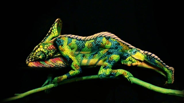 palmer-body-paint-raw-feeds-subframe1579.jpg 