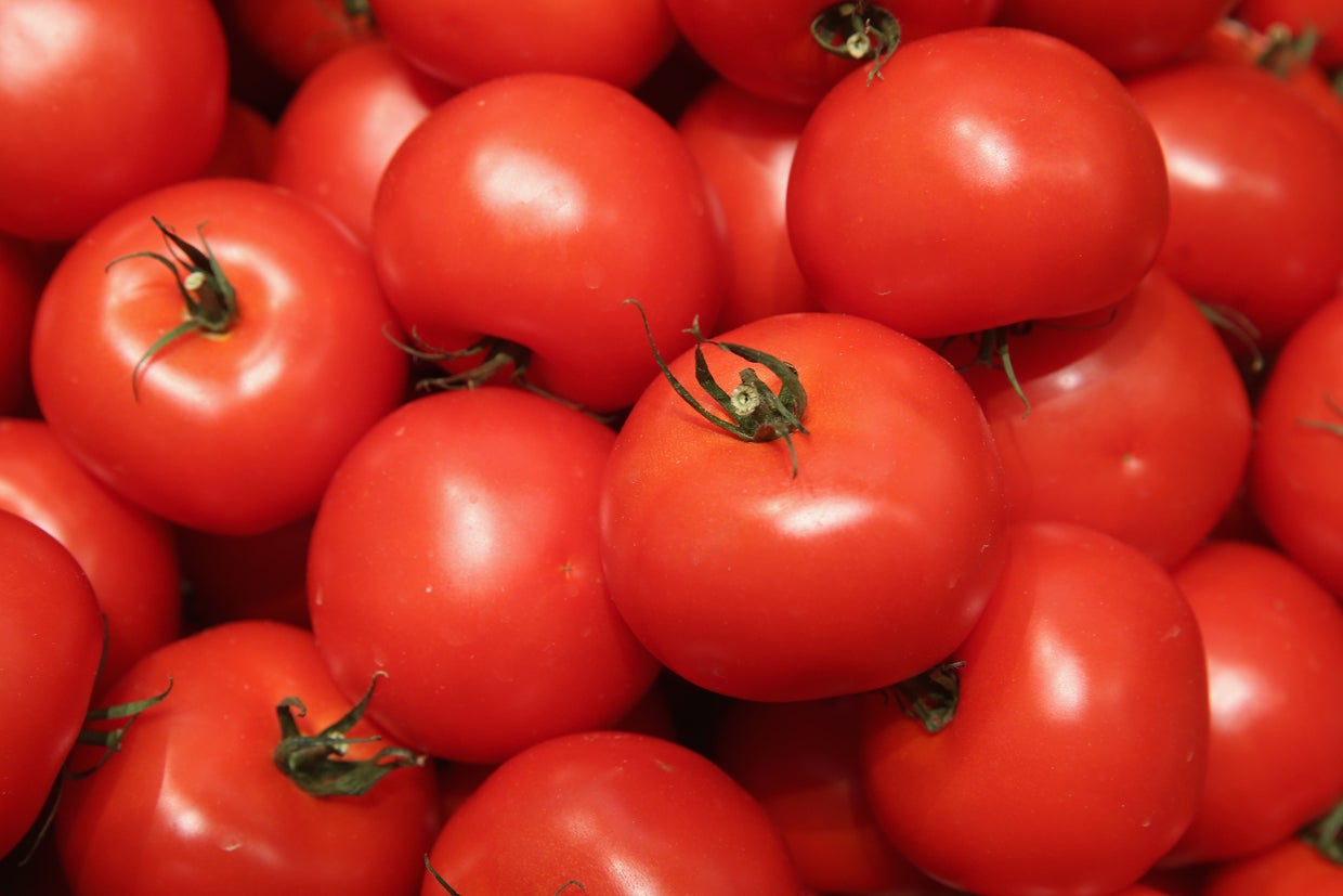 tomatos454943456.jpg 