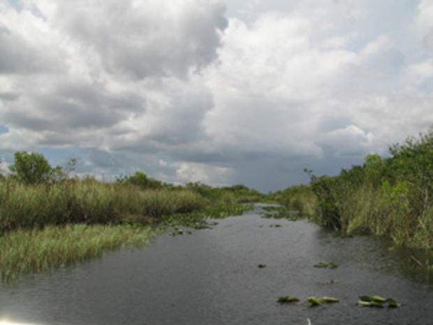 Everglades National Park (credit: Randy Yagi) 
