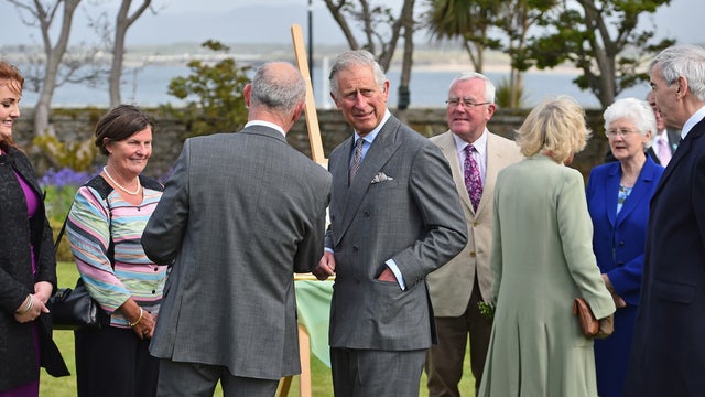 prince charles ireland 